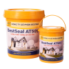 BestSeal AT505 - Chống Thấm Tường Đa Sắc Màu